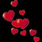 Happy Saturday！！🤟🤟