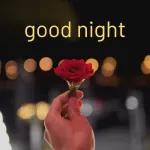 Good morning and goodnight