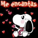 Ten, cómprate mejores stickers