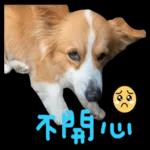 不開心～陪我玩！