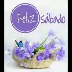 sesese