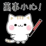 善解人意的小貓貓