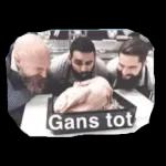 Gans toll~