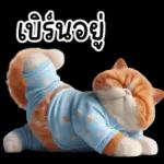 แมวขี้โมโหในชุดนอนสีอ่อน