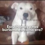 Omar 3