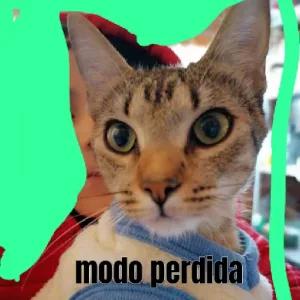 69nqRj