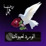 حساب
