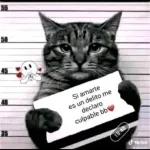 Si amarte es un delito me declaro culpable bb