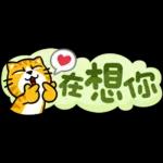 貓爪抓 -小小的你問我答抓-