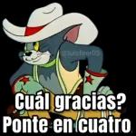 AY SI TU!