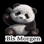 süße Panda❤️😍