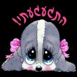 💗 אוהבת 💗 