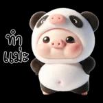 หมูแพนด้าน่ารักจังเลย