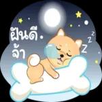 ท่านมีแพ็คเกจหนึ่งอัน📦