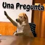 Una Pregunta