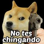 tantos carros y ninguno te atropella