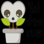 ก๊อกๆ🥰🥰🥰