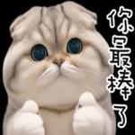 折耳貓貓 ❤ 給你一個讚 ❤