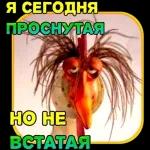 иди в пень