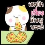 แมวนานาประเภท