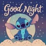 Stitch's lovely night