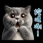 起肖貓貓★台語卡唬爛!