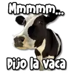 donde estas