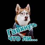 Гавкнуть что ли...
