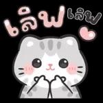 แมวมาร์คัส V.3 : HNY