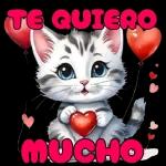 ¡Feliz Dia de San Valentin!