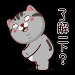 塔仔不正經 龍來啪