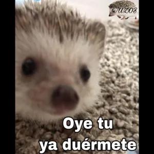 BmofGu