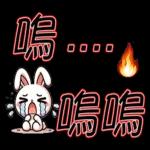 就是可愛的小兔子