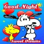 Good night, sweet dream