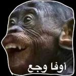 ههههههههههه 