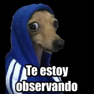 Te estoy observando - getsticker.com