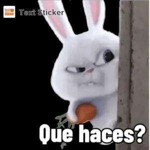 qS7gHS