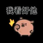 小水豚們的熱血應援