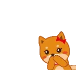 Su paquete está en camino📦