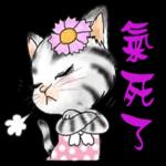 今日福利就等你來 💝