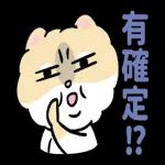 博美狗AB-不正经动起来