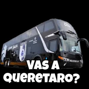SVfTbV