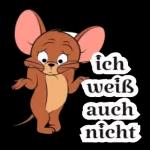 Kürbis