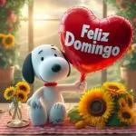 Feliz Domingo