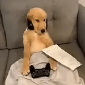 ypuhxux