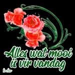 Thank YOU LOVE And BLESSINGS To You