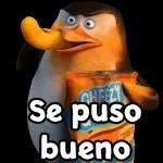 Hiciste lo correcto Bob