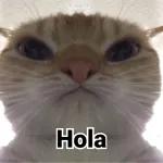 cansonaa con mi amor