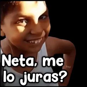 Neta, me lo juras? - getsticker.com