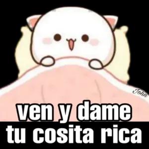 ven y dame tu cosita rica - getsticker.com